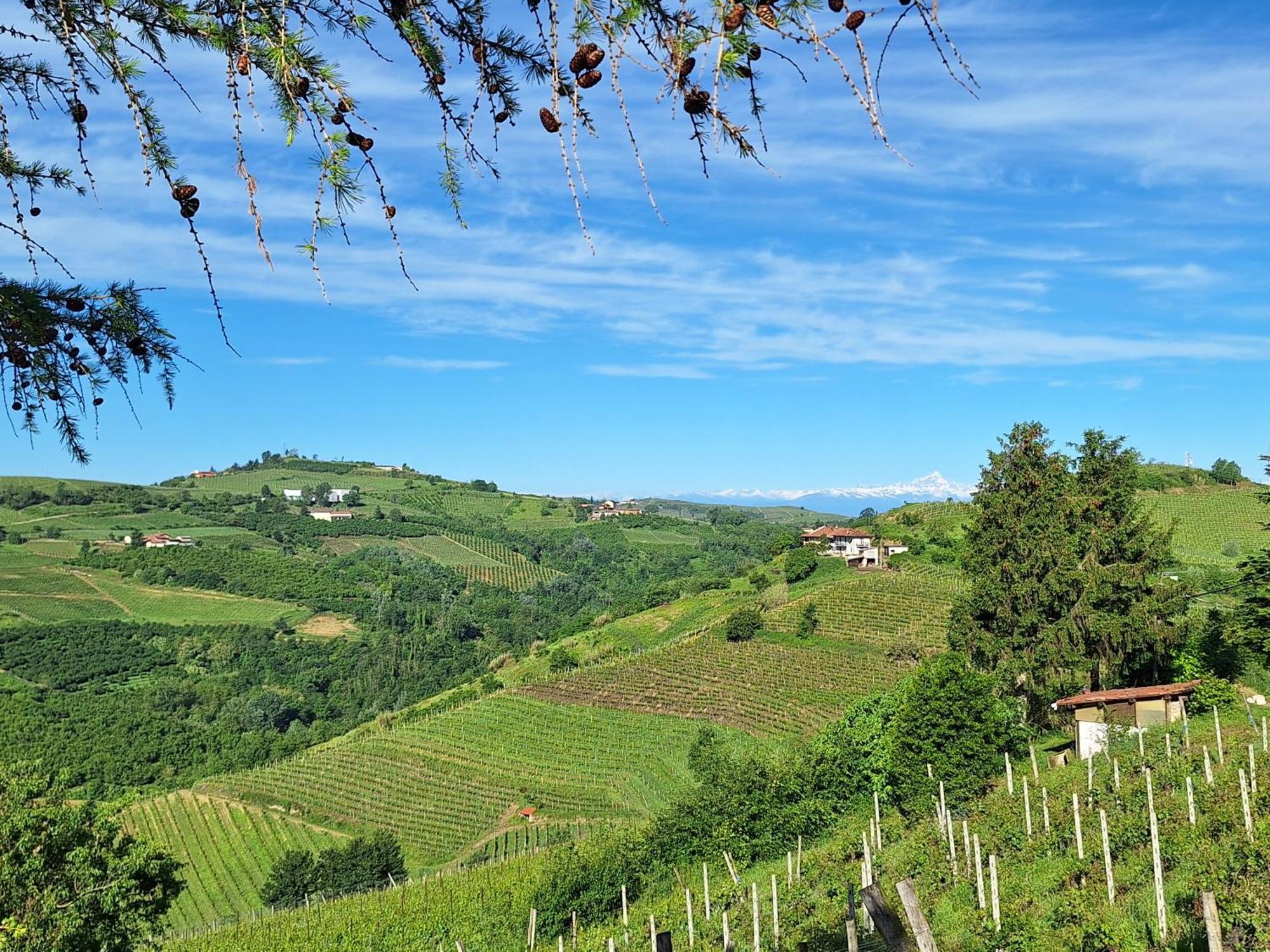 Agriturismo Ca Trinche Camo Zewnętrze zdjęcie